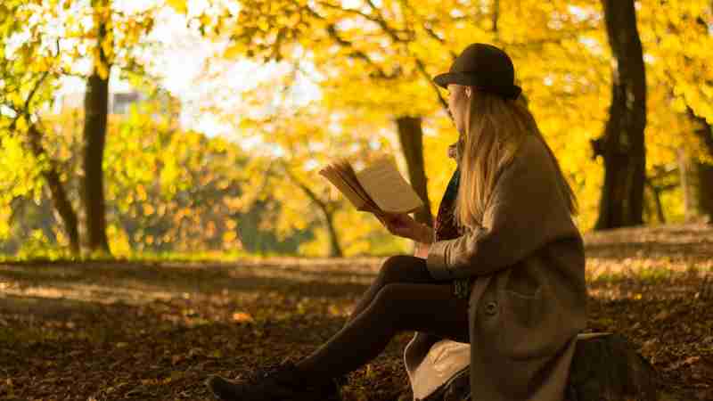 w 1, tags: kuschelseiten: herbstliche - unsplash